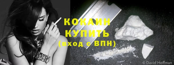 стаф Ладушкин