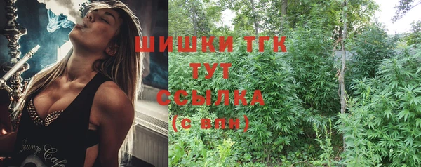 стаф Ладушкин