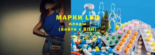стаф Ладушкин