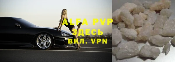 стаф Ладушкин