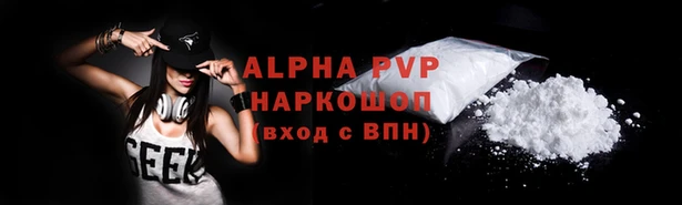 стаф Ладушкин