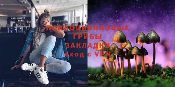 стаф Ладушкин
