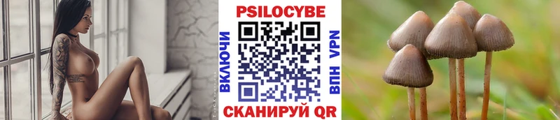 Галлюциногенные грибы Psilocybine cubensis  Жиздра 