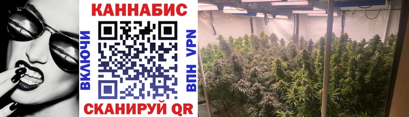 Бошки марихуана SATIVA & INDICA Жиздра