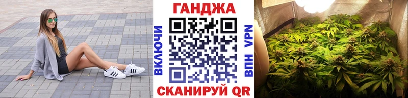 Бошки марихуана индика  закладка  Жиздра 